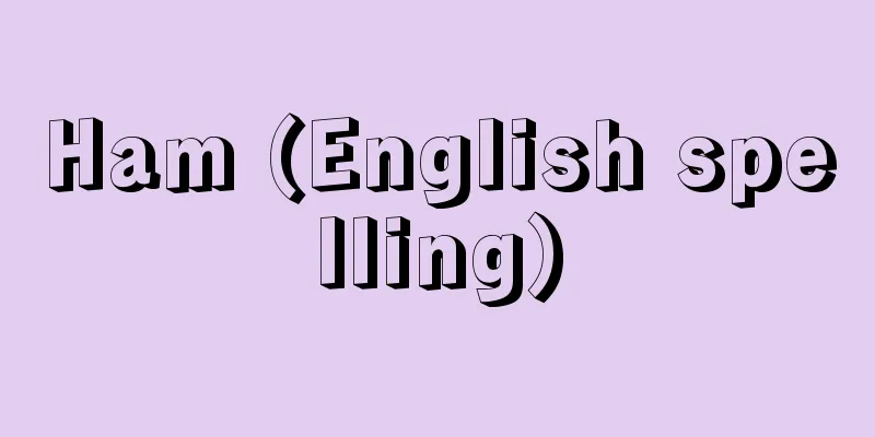 Ham (English spelling)