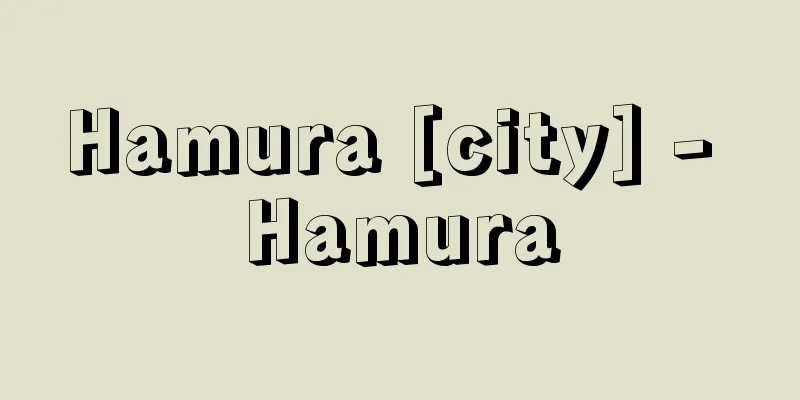 Hamura [city] - Hamura