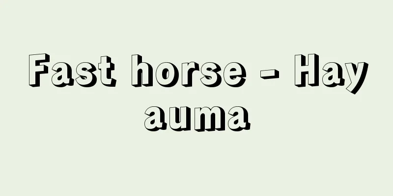 Fast horse - Hayauma