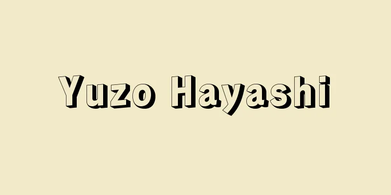 Yuzo Hayashi