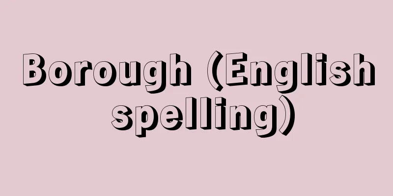 Borough (English spelling)