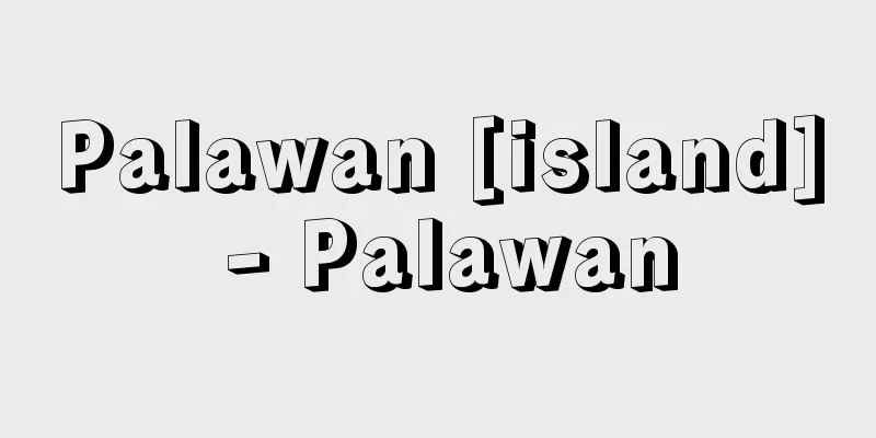 Palawan [island] - Palawan