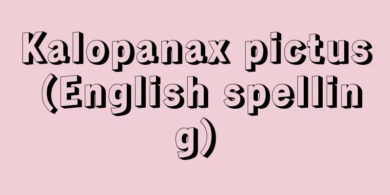 Kalopanax pictus (English spelling)