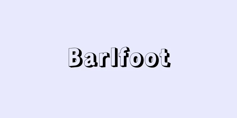 Barlfoot