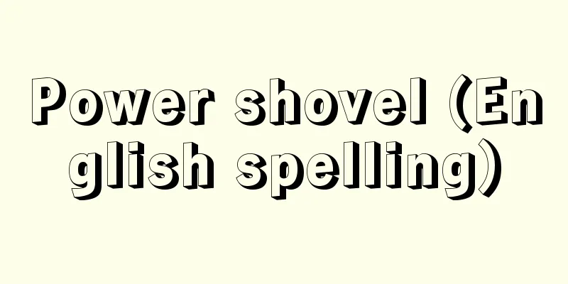 Power shovel (English spelling)
