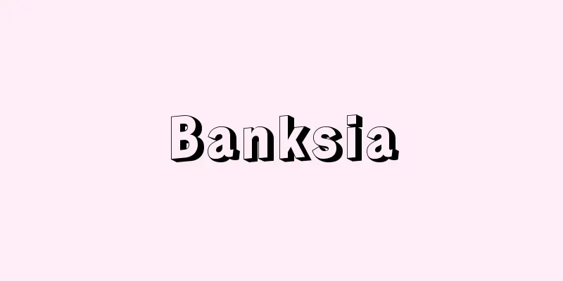 Banksia