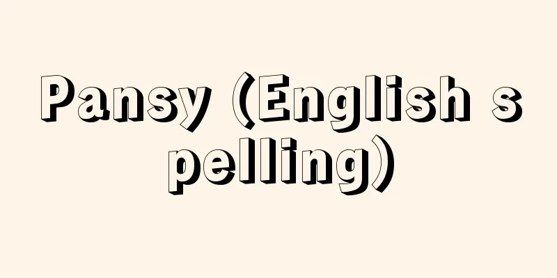 Pansy (English spelling)