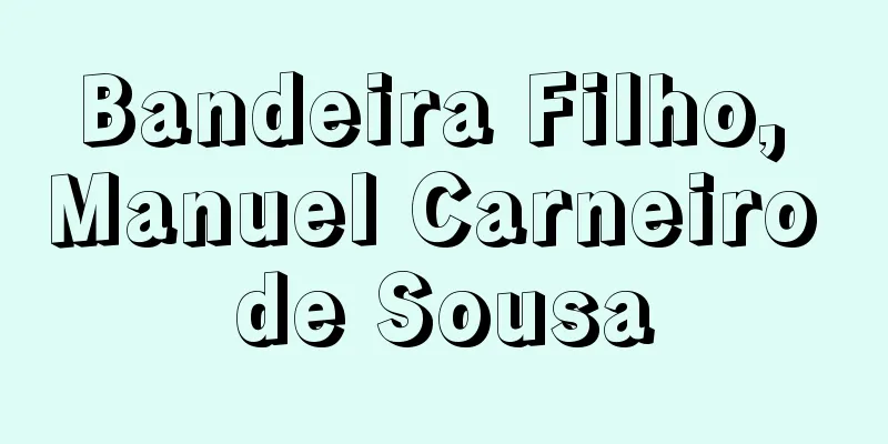 Bandeira Filho, Manuel Carneiro de Sousa