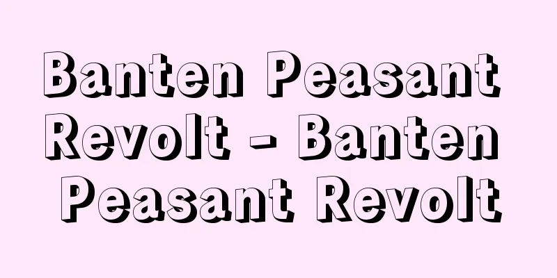 Banten Peasant Revolt - Banten Peasant Revolt