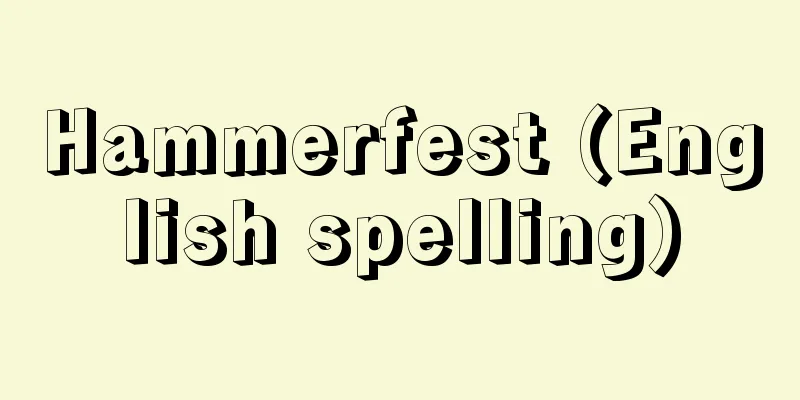 Hammerfest (English spelling)