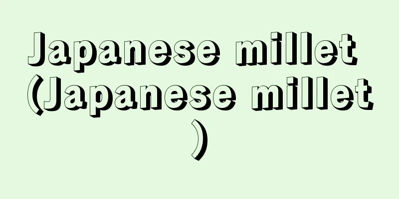 Japanese millet (Japanese millet)