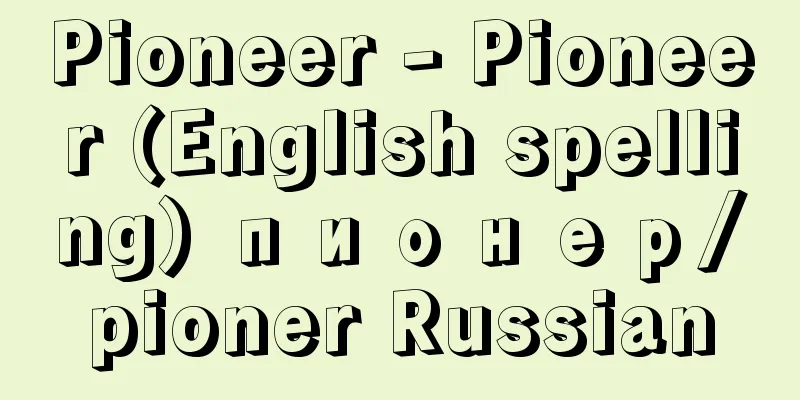 Pioneer - Pioneer (English spelling) пионер/pioner Russian