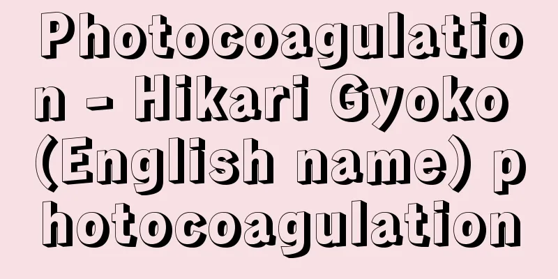 Photocoagulation - Hikari Gyoko (English name) photocoagulation