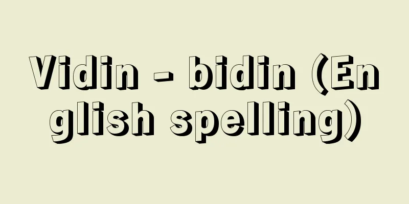Vidin - bidin (English spelling)