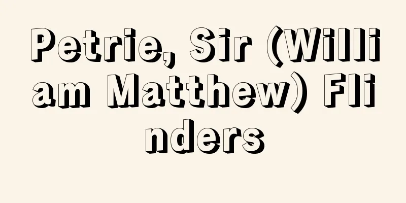 Petrie, Sir (William Matthew) Flinders