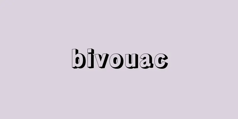 bivouac