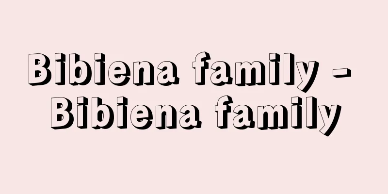 Bibiena family - Bibiena family