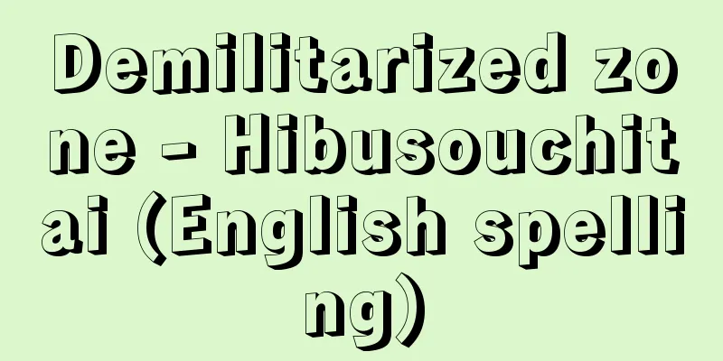 Demilitarized zone - Hibusouchitai (English spelling)