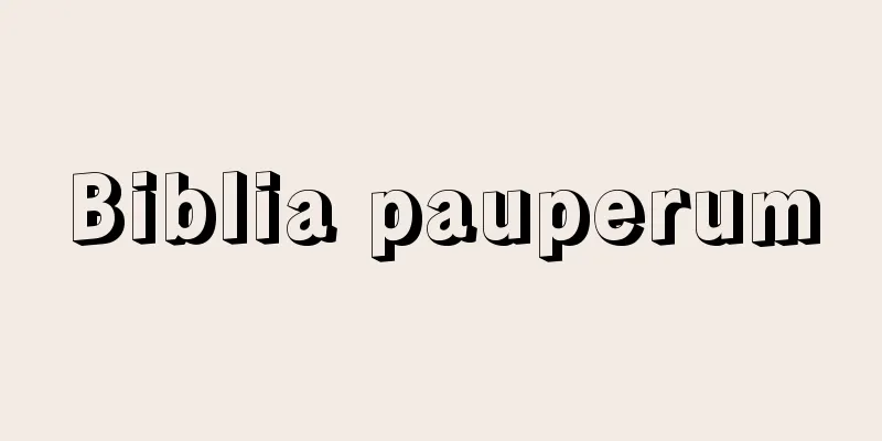 Biblia pauperum