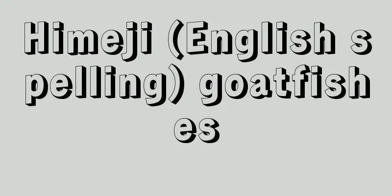 Himeji (English spelling) goatfishes