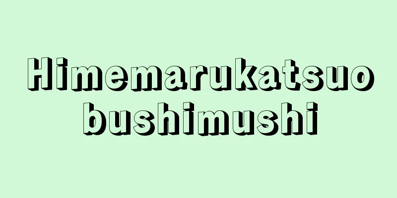Himemarukatsuobushimushi