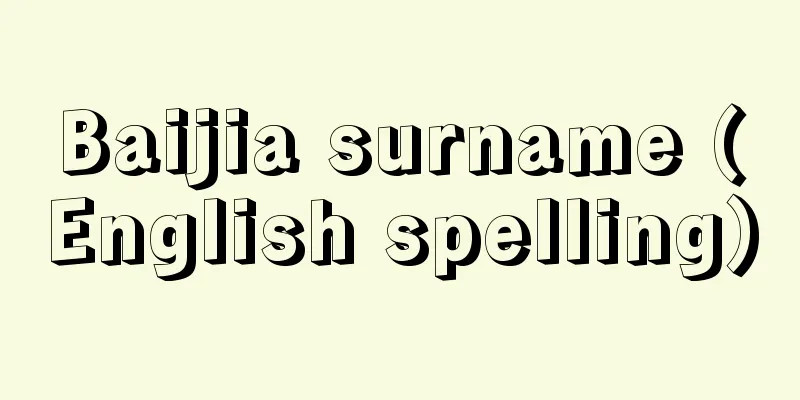 Baijia surname (English spelling)