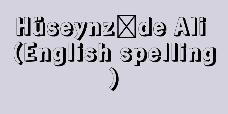 Hüseynzāde Ali (English spelling)