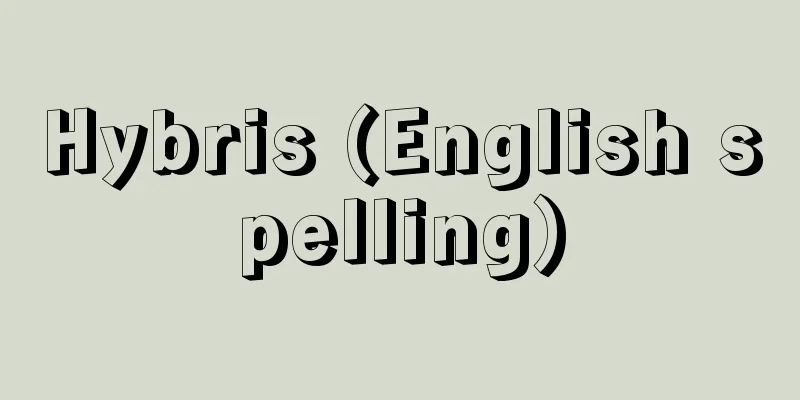 Hybris (English spelling)