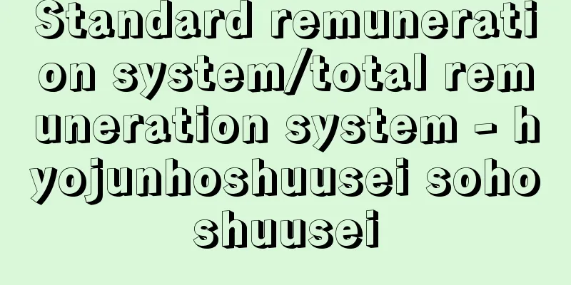 Standard remuneration system/total remuneration system - hyojunhoshuusei sohoshuusei
