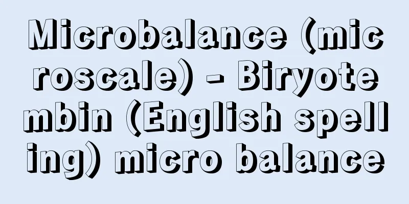Microbalance (microscale) - Biryotembin (English spelling) micro balance