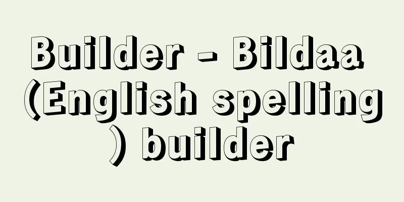 Builder - Bildaa (English spelling) builder