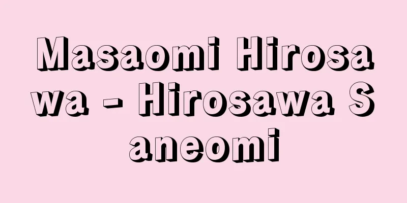 Masaomi Hirosawa - Hirosawa Saneomi