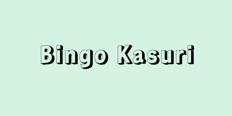 Bingo Kasuri