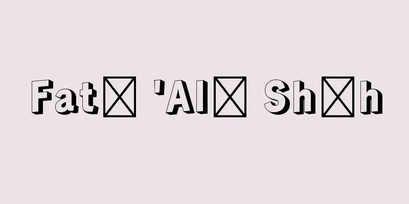 Fatḥ 'Alī Shāh