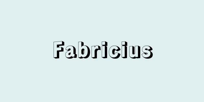 Fabricius