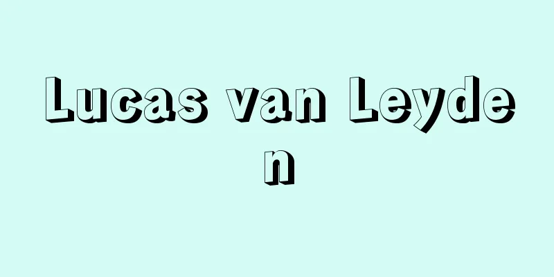 Lucas van Leyden