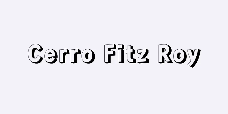 Cerro Fitz Roy