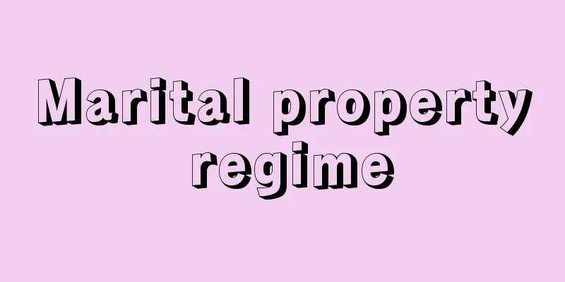 Marital property regime