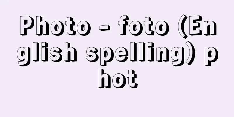 Photo - foto (English spelling) phot