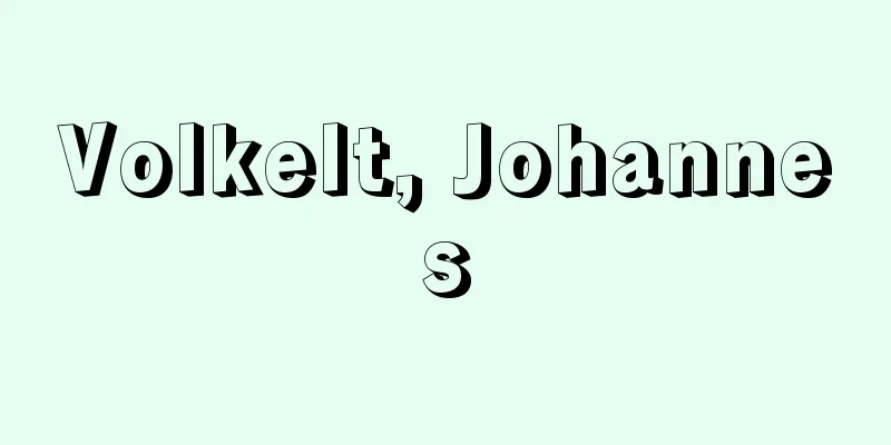 Volkelt, Johannes
