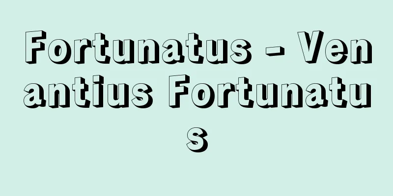 Fortunatus - Venantius Fortunatus