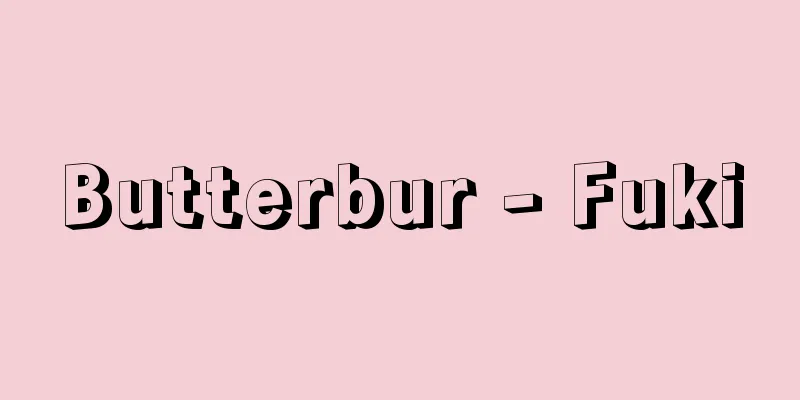 Butterbur - Fuki