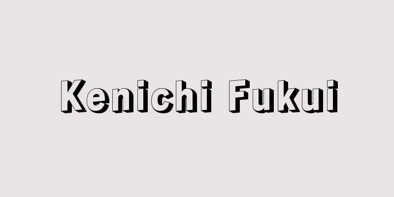 Kenichi Fukui