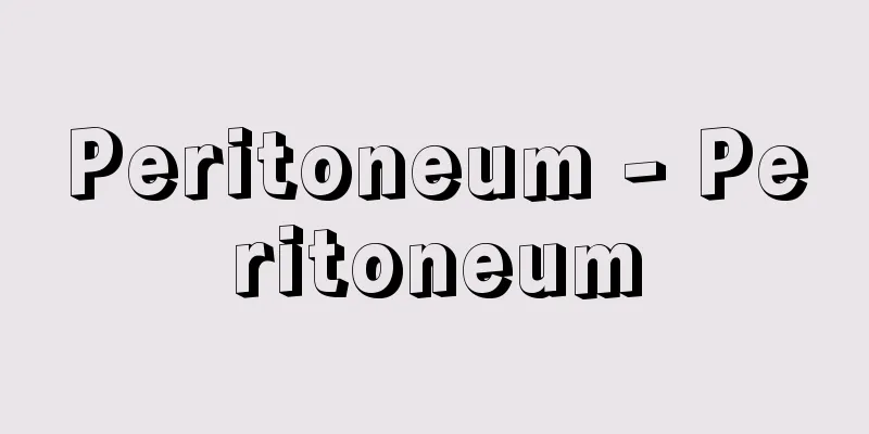 Peritoneum - Peritoneum