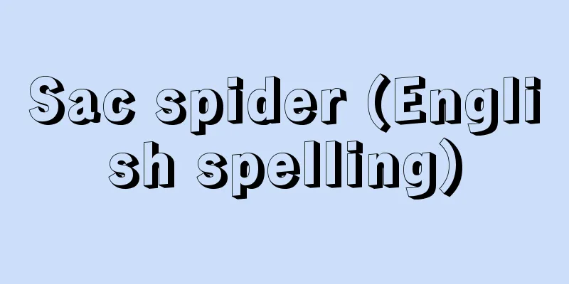 Sac spider (English spelling)