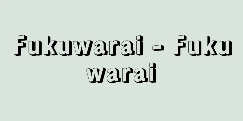Fukuwarai - Fukuwarai
