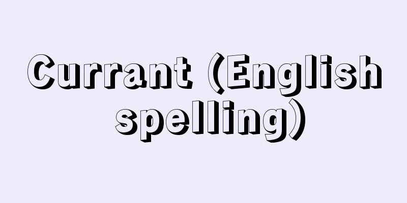 Currant (English spelling)