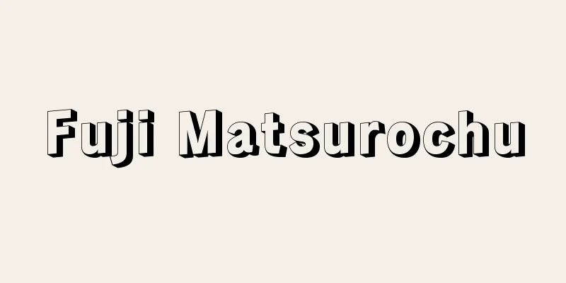 Fuji Matsurochu