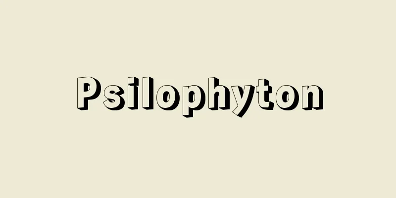 Psilophyton