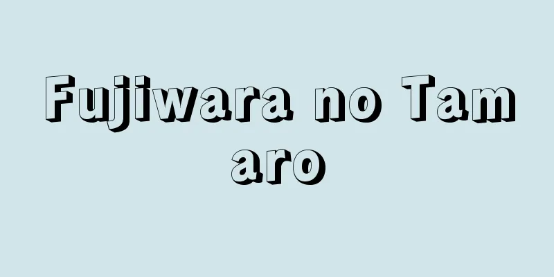 Fujiwara no Tamaro